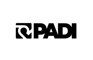 DORSAL MMT
